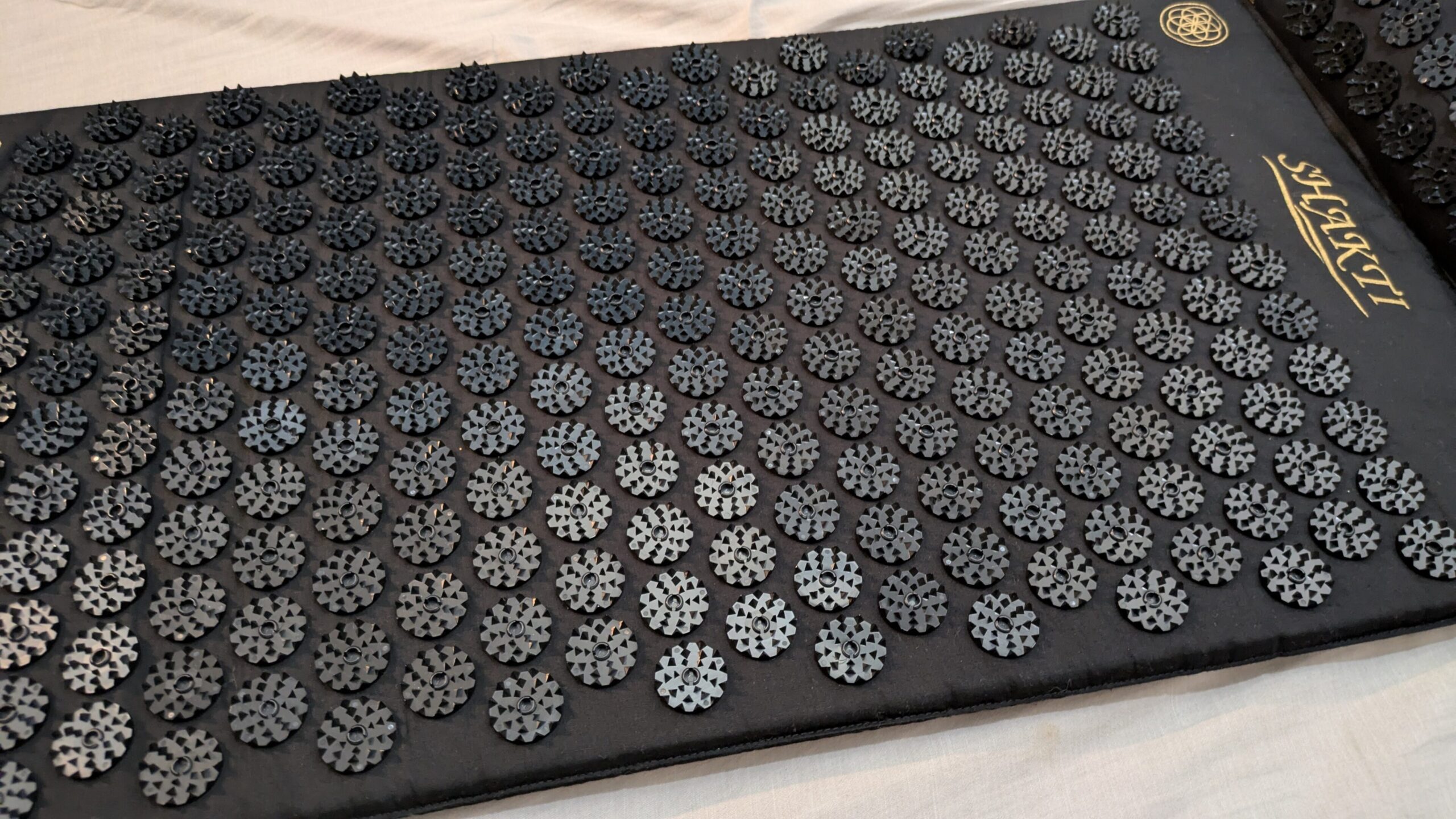 シャクティマット本体の写真。黒いマット地に無数の突起が並んでいる